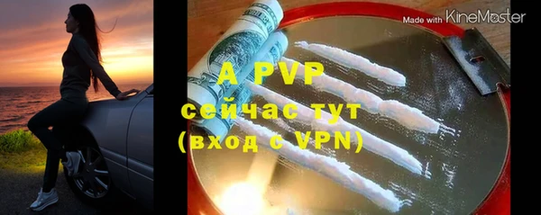шишки Приозерск