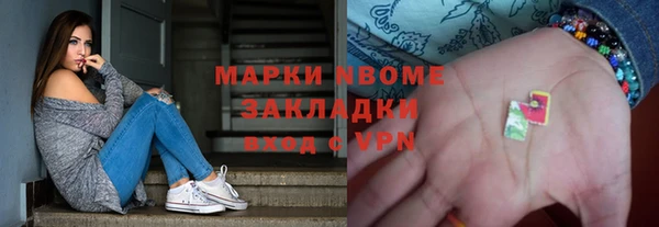 шишки Приозерск