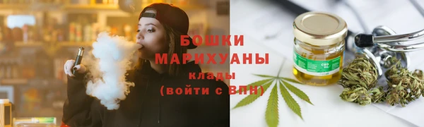 шишки Приозерск
