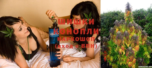 шишки Приозерск
