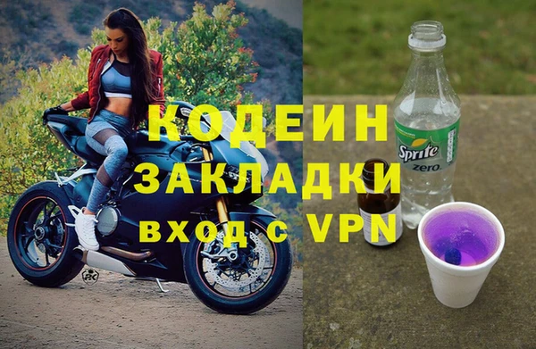 шишки Приозерск