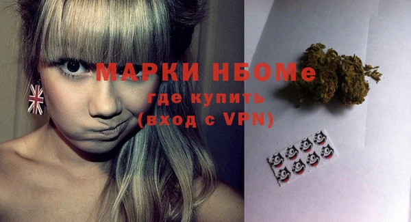 шишки Приозерск