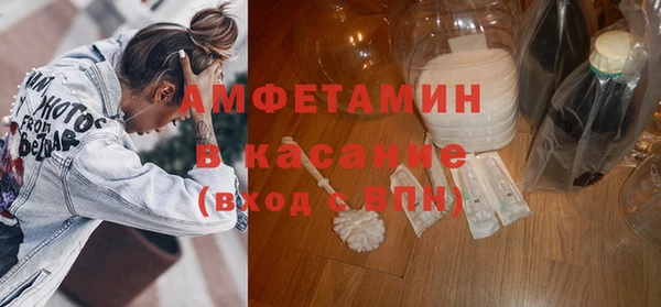 шишки Приозерск