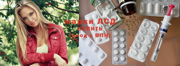 шишки Приозерск